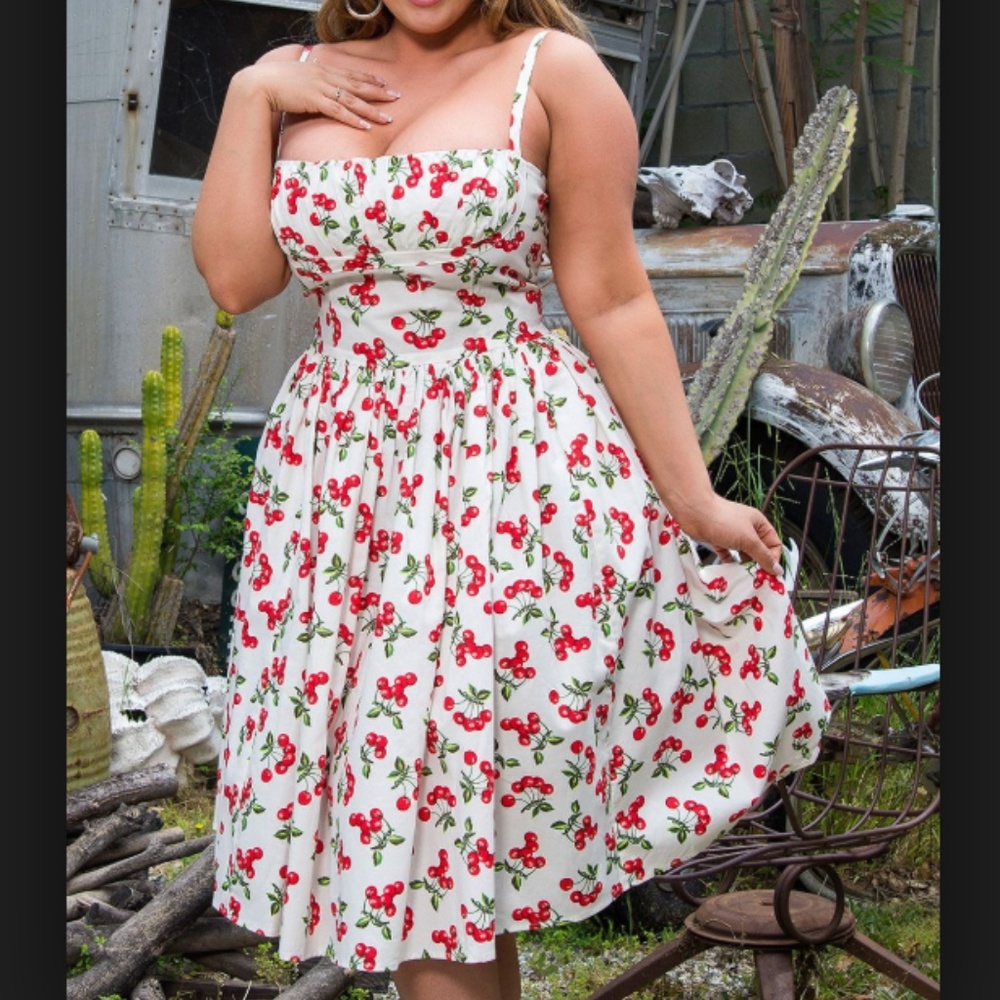 Bernie Dexter Cherry Print Paris Dress 1X